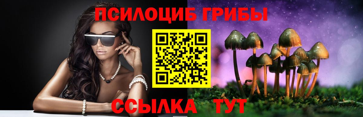 Азов  Псилоцибиновые грибы Psilocybe  Вход с VPN 